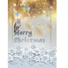 CHRISTMAS DREAMS Merry Owl